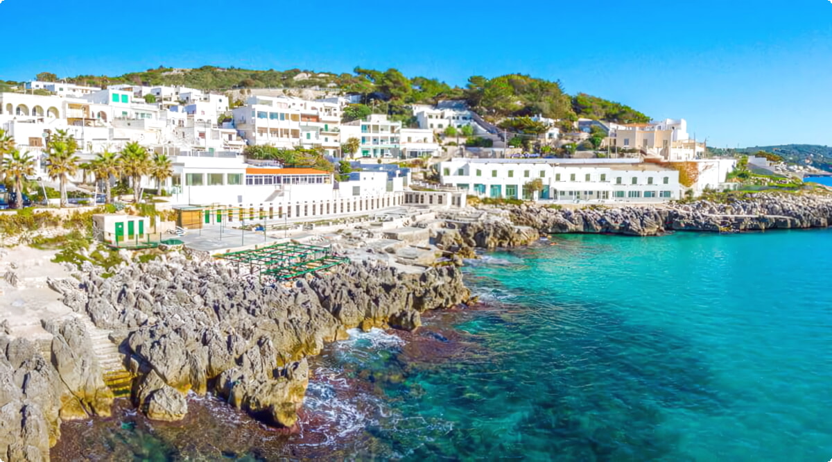 Nuestro inventario incluye una amplia variedad de vehículos.